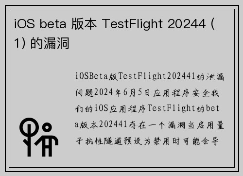 iOS beta 版本 TestFlight 20244 (1) 的漏洞 