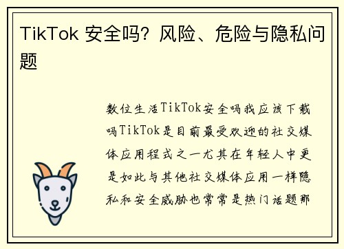 TikTok 安全吗？风险、危险与隐私问题