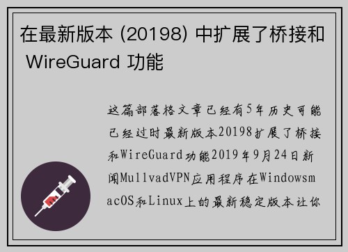 在最新版本 (20198) 中扩展了桥接和 WireGuard 功能 